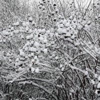 Зима :: An-na Salnikova