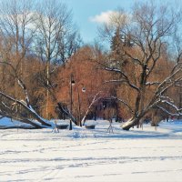 Картинки зимнего Парка 2... :: Sergey Gordoff