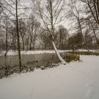 Настоящая зима :: Николай Гирш