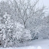 Зафевралило. :: Восковых Анна Васильевна 