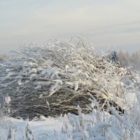 Зима-зима :: Людмила 