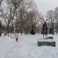 В Зимнем Парке :: юрий поляков