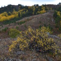 В горах Бугылы,бродила осень... :: Андрей Хлопонин