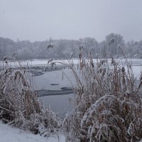 В зимнем парке :: Маргарита Батырева