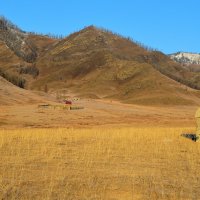 Природный Каракольский парк «Уч-Энмек» :: Татьяна Лютаева