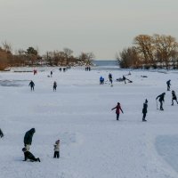 Развлечения на льду речки Мимико, окраина Торонто :: Юрий Поляков