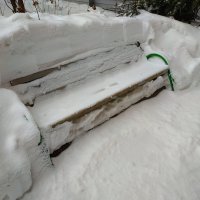 Снег, который коммунальщики укротили :: Андрей Лукьянов