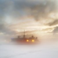 Туман над заливом :: Мухина Наталья 