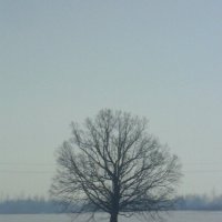 Зима. Одиночество . Белое безмолвие . :: Виктор  /  Victor Соболенко  /  Sobolenko