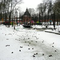Городской сад в феврале (репортаж из сада). :: Милешкин Владимир Алексеевич 