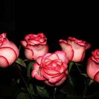 Ночной запах роз :: Влад Платов