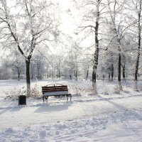 Одинокая скамейка дремлет в парке до весны. :: Восковых Анна Васильевна 