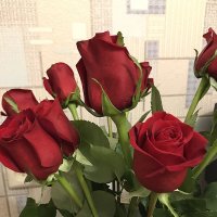 Букет красивых роз. :: Валентина Жукова