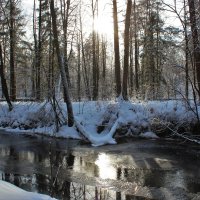 В зимнюю пору лесной речки коснулось весеннее тепло :: Григорий охотник