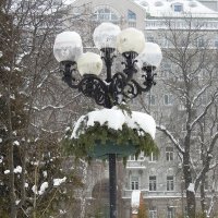 О красоте зимних фонарей :: Тамара Бедай 