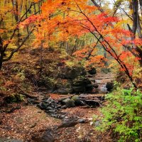осень на Кравцовских водопадах :: Лариса Крышталь 