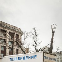 ТЕЛЕВИДЕНИЕ :: Сергей Янович Микк