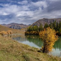 Чуя-река :: Виктор Четошников