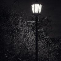 Ночь, улица, фонарь :: Дмитрий Радченко