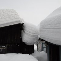 Сибирь в снегу :: Борис 