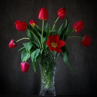 Дарите женщинам цветы .....! :: Анатолий Святой 