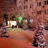 Елки в снегу :: Vlad Proshin 
