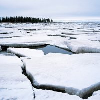 Ледоход на Белом море :: Сергей Курников
