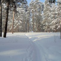 По тропинке к лесу. :: Мила Бовкун