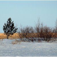 Зимний пейзаж. :: Валентин Кузьмин