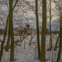 Пейзажи Введенского озера-5 :: Сергей Цветков