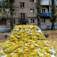 про осень :: Елена Шаламова