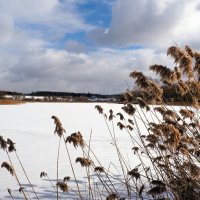 Весенний пейзаж. :: Милешкин Владимир Алексеевич 