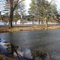 Царское Село. Екатерининский парк :: Наталья Герасимова