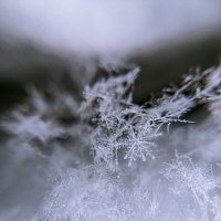 Снежинки :: Лариса Корсакова