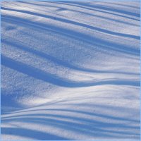 Тени на снегу :: Анатолий Мо Ка
