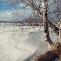 Весеннее настроение :: Евгений 