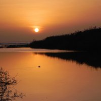 На закате у реки и моря. :: Светлана Хращевская