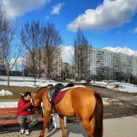 Лошадь - большой друг человека :: Андрей Лукьянов