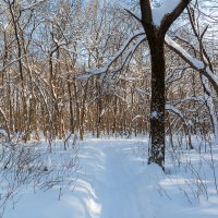 В феврале :: Александр Синдерёв