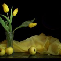 С жёлтыми тюльпанами... :: Нэля Лысенко