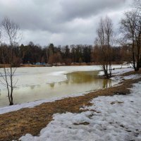 Зарисовки юного (всего 65+) натуралиста необходимой части весны :: Андрей Лукьянов