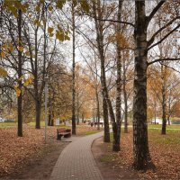 Осенний парк... :: Сергей Кичигин