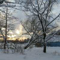 Пейзаж зимний :: Вера Щукина