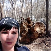 Стволу этого дерева где то 70 лет :: Юлия Степанова