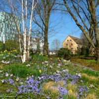 Planten un Blomen Hamburg :: Nina Yudicheva