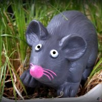 Всемирный день крысы!  :-) :: Андрей Заломленков