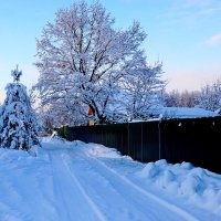 Праздник зимы на нашей улице :: Анатолий Мо Ка