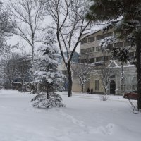 Зима, февраль, горсад :: Валентин Семчишин