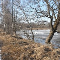 Весеннее утро :: Андрей Зайцев