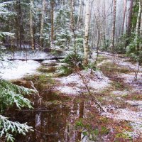 Снег в весеннем лесу :: Григорий охотник